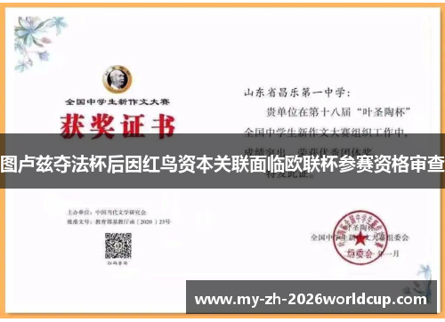 图卢兹夺法杯后因红鸟资本关联面临欧联杯参赛资格审查 图卢兹夺法杯后因红鸟资本关联面临欧联杯参赛资格审查